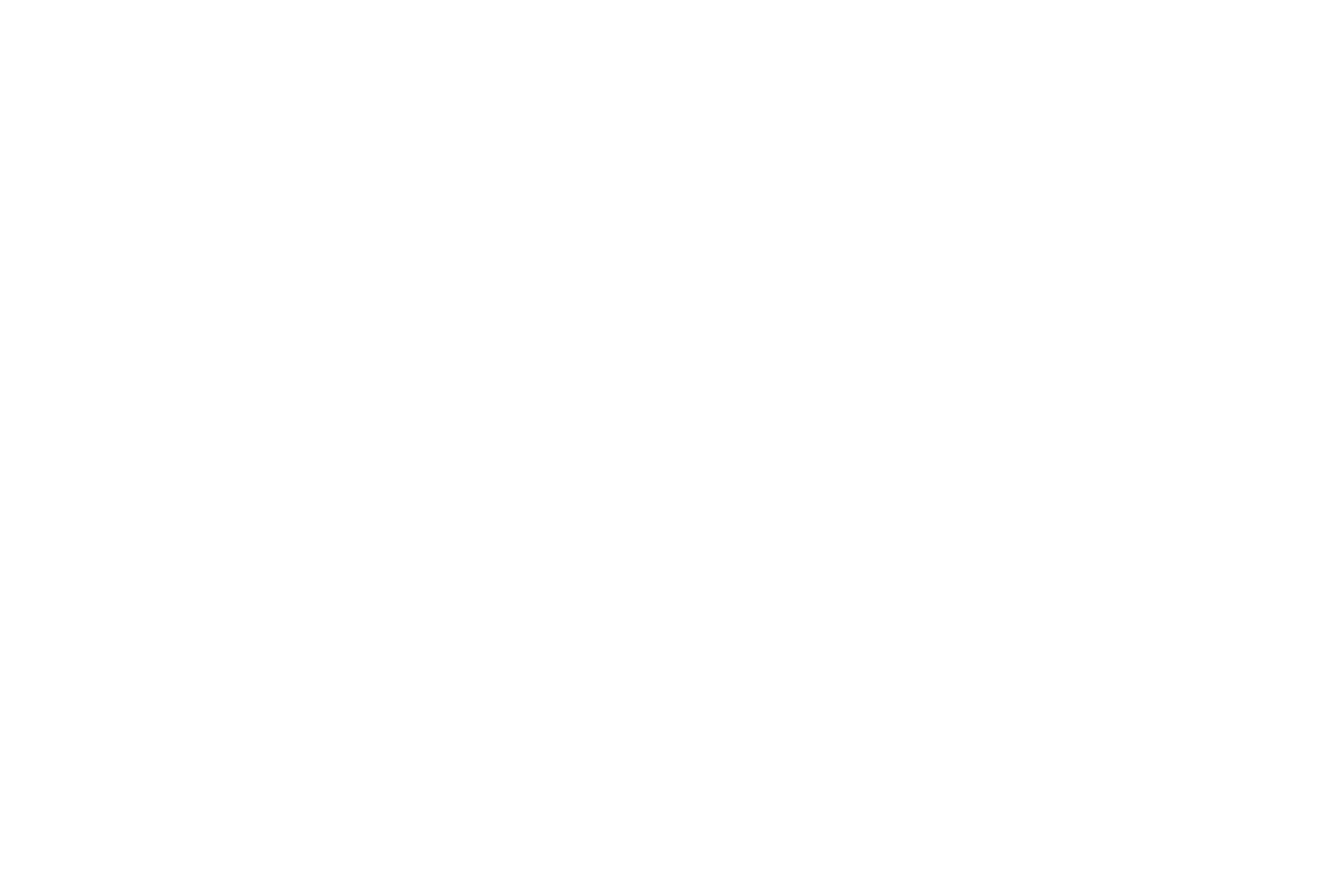 zaama-logo-animation